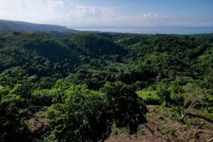 Działka na sprzedaż Ceiba Bonita - zdjęcie 1