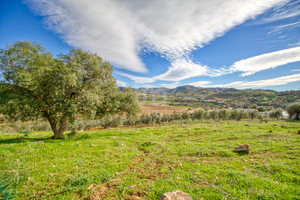 Działka na sprzedaż Andaluzja Malaga - zdjęcie 1