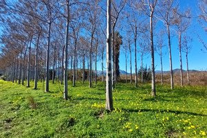 Działka na sprzedaż Walencja Alicante - zdjęcie 2