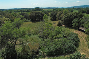 Dom na sprzedaż 360m2 - zdjęcie 3