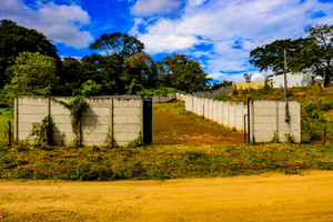 Działka na sprzedaż 2000m2 9726+276, Guanacaste Province, Portegolpe, Costa Rica - zdjęcie 2