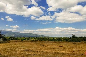 Komercyjne na sprzedaż 88592m2 Nong Pla Sawai, Ban Hong - zdjęcie 3