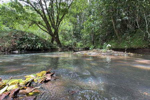 Działka na sprzedaż Alajuela Santa Rosa de Pocosol - zdjęcie 2