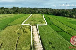 Działka na sprzedaż C42Q+F2R Kaba-Kaba, Tabanan Regency, Bali, Indonesia - zdjęcie 3