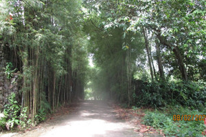 Działka na sprzedaż Canggu, Kuta Utara, Badung Regency, Bali, Indonesia - zdjęcie 1