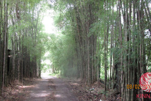 Działka na sprzedaż Canggu, Kuta Utara, Badung Regency, Bali, Indonesia - zdjęcie 3