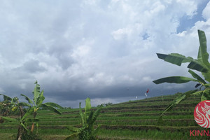 Działka na sprzedaż 94FQ+GXW Tumbak Bayuh, Badung Regency, Bali, Indonesia - zdjęcie 3