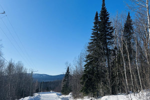 Działka na sprzedaż Ch. Marius-Barbeau, Petite-Rivière-Saint-François, QC G0A2L0, CA - zdjęcie 2