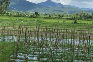 Działka na sprzedaż San Kamphaeng, Chiang Mai, Thailand - zdjęcie 2