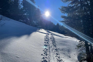 Mieszkanie na sprzedaż 197m2 Morgins - zdjęcie 1