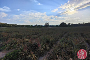 Działka na sprzedaż Ban Thung Yao, Prachuap Khiri Khan, Thailand - zdjęcie 2