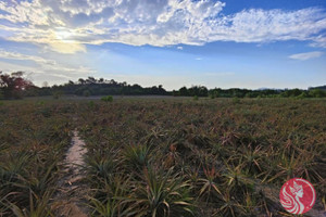 Działka na sprzedaż Ban Thung Yao, Prachuap Khiri Khan, Thailand - zdjęcie 3