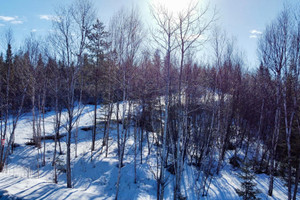 Działka na sprzedaż Ch. Bélanger, Saint-Charles-de-Bourget, QC G0V1G0, CA - zdjęcie 3