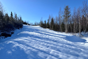 Działka na sprzedaż Ch. Bélanger, Saint-Charles-de-Bourget, QC G0V1G0, CA - zdjęcie 4