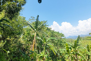 Działka na sprzedaż Puerto Princesa Palawan - zdjęcie 1