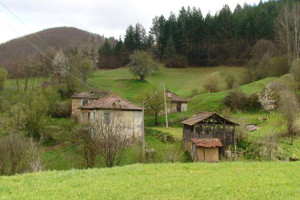 Dom na sprzedaż 600m2 с. Смилян/s. Smilian - zdjęcie 2