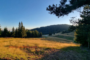 Działka na sprzedaż к.к. Пампорово, вр.Рожен,м.'Кедикя'/k.k. Pamporovo, vr.Rojen,m.'Kediki - zdjęcie 2