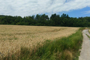 Działka na sprzedaż гр. Лясковец/gr. Liaskovec - zdjęcie 1