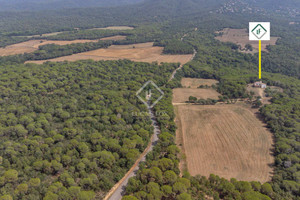 Dom na sprzedaż 451m2 - zdjęcie 1