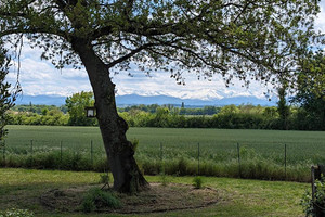 Dom na sprzedaż 385m2 - zdjęcie 2