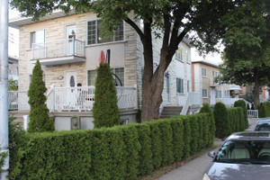 Dom na sprzedaż 243m2 7117 Rue Aubert, Saint-Léonard, QC H1S2B6, CA - zdjęcie 2