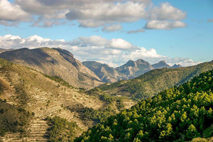 Dom na sprzedaż 473m2 - zdjęcie 3