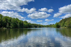 Działka na sprzedaż Rue du Lac-Evans, Gore, QC J0V1K0, CA - zdjęcie 2