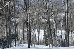 Działka na sprzedaż Mtée St-Gabriel, Saint-Sauveur, QC J0R1R7, CA - zdjęcie 2