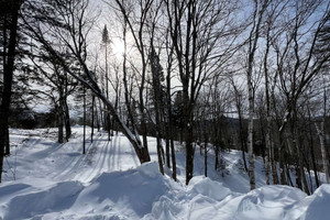 Działka na sprzedaż Mtée St-Gabriel, Saint-Sauveur, QC J0R1R7, CA - zdjęcie 3