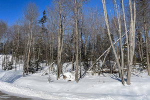 Działka na sprzedaż Ch. du Renard, Saint-Sauveur, QC J0R1R1, CA - zdjęcie 1