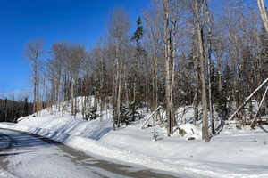 Działka na sprzedaż Ch. du Renard, Saint-Sauveur, QC J0R1R1, CA - zdjęcie 2