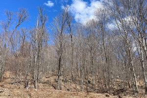 Działka na sprzedaż Ch. du Lac-Gustave, Wentworth-Nord, QC J0T1Y0, CA - zdjęcie 1