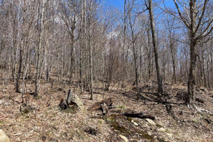 Działka na sprzedaż Ch. du Lac-Gustave, Wentworth-Nord, QC J0T1Y0, CA - zdjęcie 3