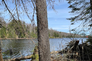 Działka na sprzedaż Ch. du Lac-Rond, Wentworth-Nord, QC J0T1Y0, CA - zdjęcie 3