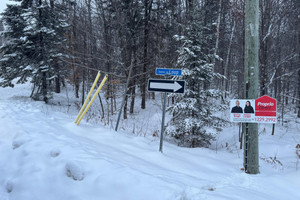 Działka na sprzedaż Rue du Sentier-du-Loup, Sainte-Marguerite-du-Lac-Masson, QC J0T1L0, CA - zdjęcie 2