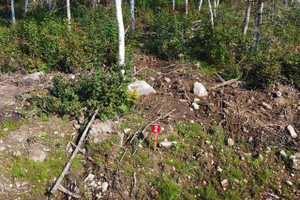 Działka na sprzedaż Vieille route 11, Lac-Saguay, QC J0W1L0, CA - zdjęcie 2