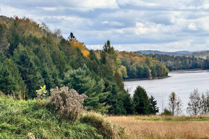 Działka na sprzedaż Ch. Germain, Saint-Aimé-du-Lac-des-Îles, QC J0W1J0, CA - zdjęcie 1