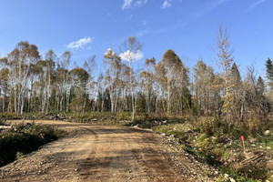 Działka na sprzedaż Vieille route 11, Lac-Saguay, QC J0W1L0, CA - zdjęcie 4