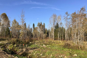 Działka na sprzedaż Vieille route 11, Lac-Saguay, QC J0W1L0, CA - zdjęcie 3