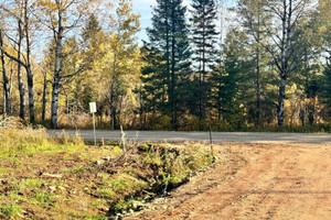 Działka na sprzedaż Vieille route 11, Lac-Saguay, QC J0W1L0, CA - zdjęcie 3