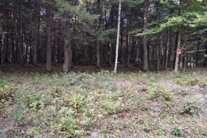 Działka na sprzedaż 4 Ch. du Flood, Lac-du-Cerf, QC J0W1S1, CA - zdjęcie 2