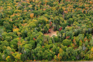 Działka na sprzedaż Ch. du Lac-Kiamika, Rivière-Rouge, QC J0T1T0, CA - zdjęcie 2