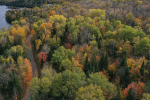 Działka na sprzedaż Ch. du Lac-aux-Bois-Francs E., Rivière-Rouge, QC J0T1T0, CA - zdjęcie 3