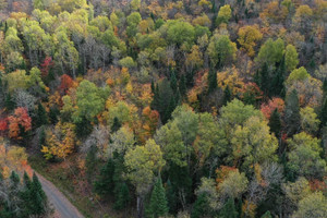 Działka na sprzedaż Ch. du Lac-aux-Bois-Francs E., Rivière-Rouge, QC J0T1T0, CA - zdjęcie 2