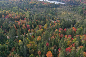 Działka na sprzedaż Rue des Montagnards, Sainte-Marguerite-du-Lac-Masson, QC J0T1L0, CA - zdjęcie 1