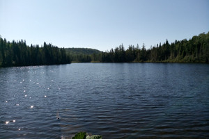 Działka na sprzedaż 02 Ch. du Lac-d'Un-Mille, Ferland-et-Boilleau, QC J0V1H0, CA - zdjęcie 1