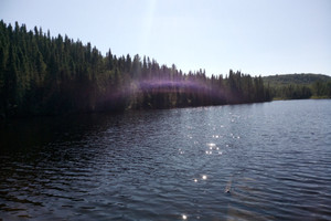 Działka na sprzedaż 02 Ch. du Lac-d'Un-Mille, Ferland-et-Boilleau, QC J0V1H0, CA - zdjęcie 3