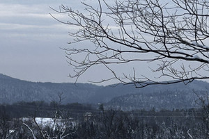 Działka na sprzedaż Rue du Beau-Vallon, Val-Morin, QC J0T2R0, CA - zdjęcie 3