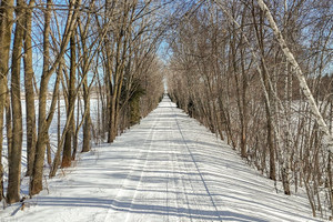 Działka na sprzedaż 104Z Rg Langevin, Saint-Alphonse-de-Granby, QC J0E2A0, CA - zdjęcie 3