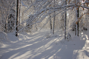 Działka na sprzedaż Rue Gauguin, Sainte-Marguerite-du-Lac-Masson, QC J0T2N0, CA - zdjęcie 4